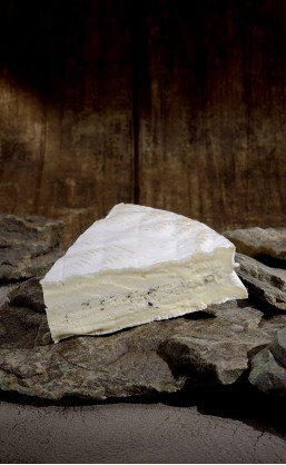 Brie de Meaux aux truffes